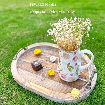 Natural - Dried - Flowers Brazilian Small Star Daisy Dried Decorative Mini Chamomile Bouquet for Wedding Floral Arrangements Home Decorations Valentine's Day Gifts (200 Stems) (White)