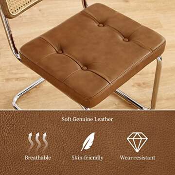 Art Leon Rattan Dining Chairs for Stylish Dining Spaces