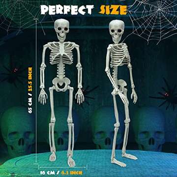 daboot 1 Piece Halloween Skeleton Decorations, 26'' Posable Skeleton Halloween Prop for Haunted House Indoor Outdoor Decoration Spooky Decor, Full Body with Movable Joints