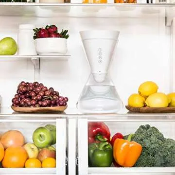 Soma 6-Cup Filter Glass Carafe for Pure Fresh Water