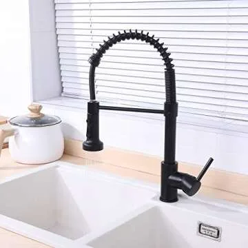 Ntipox Matte Black Kitchen Faucet with Versatile Sprayer