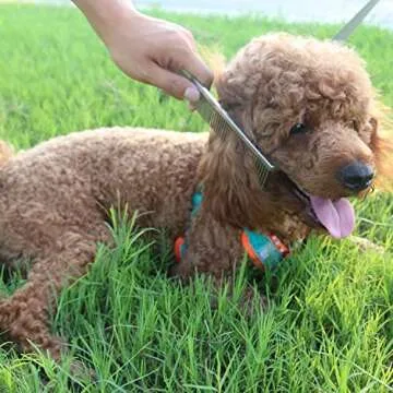 ROPO Dog Comb Tool for Removing Matted Fur - Pet Dematting Comb with Rounded Teeth and Non-Slip Grip Handle - Prevents Knots and Mats for Long and Short Haired Pets (Square handle, Black)