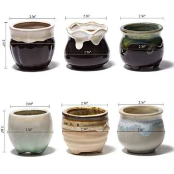 Plant Pots for Succulents, Small Ceramic Planters 2.5 Inch with Drainage, Set of 6 Pots for Plants