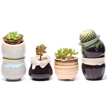 Plant Pots for Succulents, Small Ceramic Planters 2.5 Inch with Drainage, Set of 6 Pots for Plants