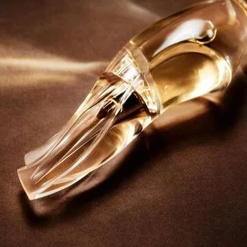 Donna Karan Cashmere Mist Eau De Parfum Spray 3.4 oz