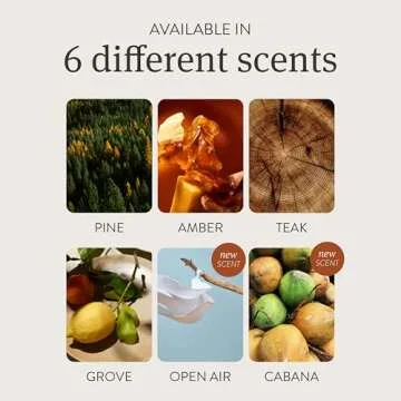 Drift Car Air Freshener - Stylish Stone Design Starter Kit