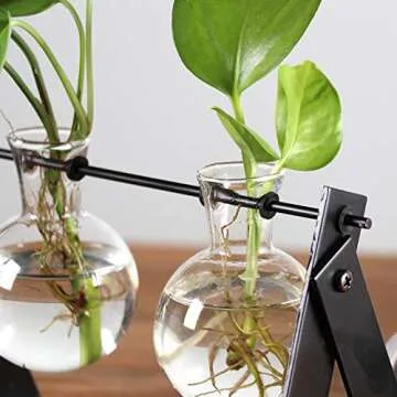 Ivolador Desktop Plant Terrarium Stand Modern Tabletop Glass Planter Flower Bulb Vase with Metal Swivel Holder (Black)