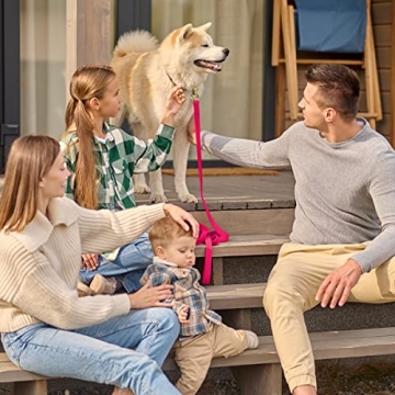 Viper K9 Biothane Waterproof Dog Leash for Training