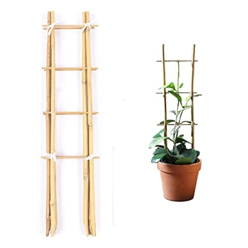 Cambaverd 24 Inch Trellis for Potted Plants, 3 Pack Bamboo Trellis Indoor, Natural Garden Trellis fo...
