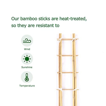 Cambaverd Bamboo Trellis Set for Indoor Climbing Plants