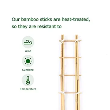 Cambaverd Bamboo Trellis Set for Indoor Climbing Plants