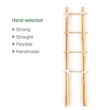 Cambaverd Bamboo Trellis Set for Indoor Climbing Plants