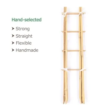 Cambaverd Bamboo Trellis Set for Indoor Climbing Plants