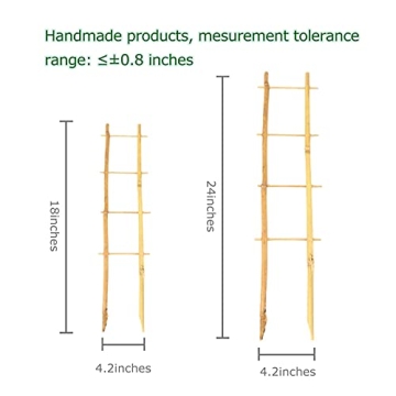 Cambaverd Bamboo Trellis Set for Indoor Climbing Plants