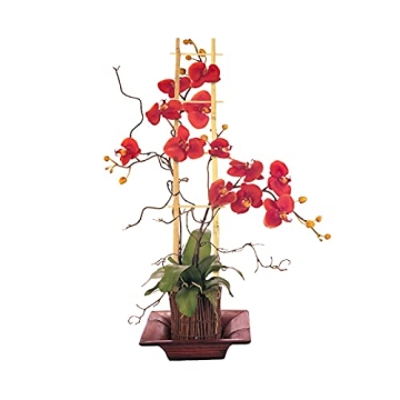 Cambaverd Bamboo Trellis Set for Indoor Climbing Plants