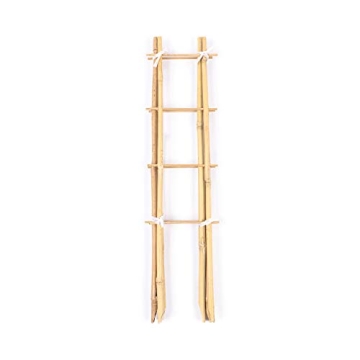 Cambaverd Bamboo Trellis Set for Indoor Climbing Plants