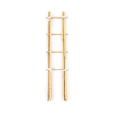 Cambaverd Bamboo Trellis Set for Indoor Climbing Plants