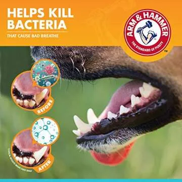 Arm & Hammer Dog Dental Kit - Chicken Toothpaste & Brush