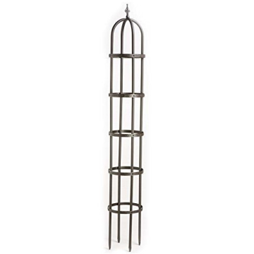 Plow & Hearth Metal Garden Obelisk | Indoor/Outdoor | Powder-Coated Steel | Trellis for Climbing | F...
