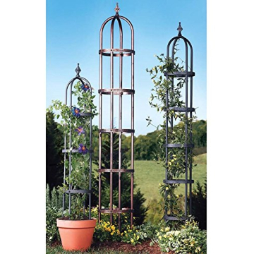 Plow & Hearth Garden Obelisk Trellis for Climbing Plants