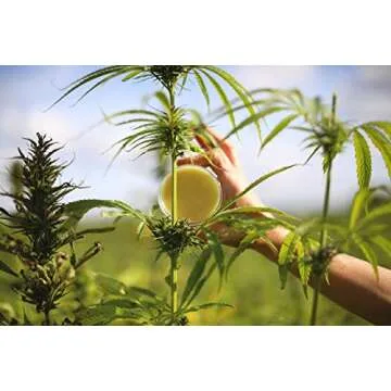 HOWND Hemp Dog Skin & Paw Balm with SPF Protection