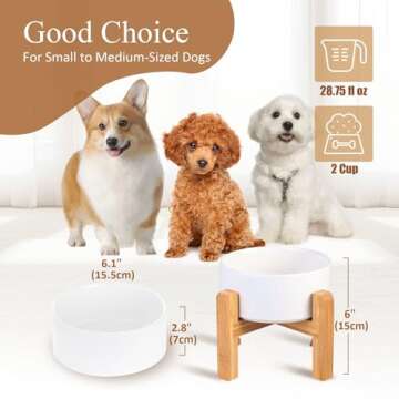 Ceramic Elevated Raised Cat Bowl with Wood Stand No Spill Pet Food Water Feeder Cats Small Dogs