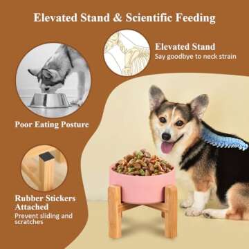 Ceramic Elevated Raised Cat Bowl with Wood Stand No Spill Pet Food Water Feeder Cats Small Dogs