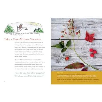 The Curious Nature Guide: Explore the Natural Wonders All Around You