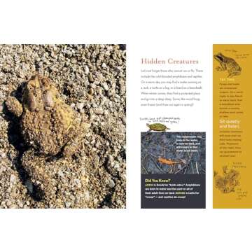 The Curious Nature Guide: Explore the Natural Wonders All Around You