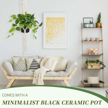 JPSOR Artificial Indoor Plants for Home Decor, 12 inches Pothos in Black Ceramic Pot with Iron Wire, 1 Count