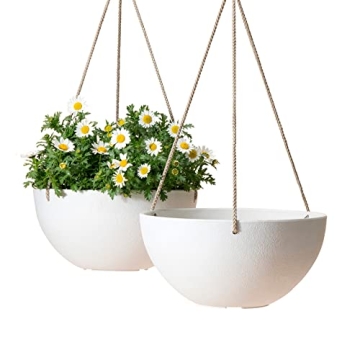 LA Jolie Muse Hanging Planter - Chic 10 Inch Set of 2 Planters for Indoor & Outdoor Use