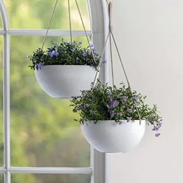 LA Jolie Muse 10 Inch Hanging Planters for Indoor and Outdoor