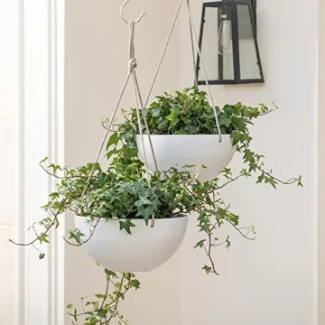 LA Jolie Muse 10 Inch Hanging Planters for Indoor and Outdoor