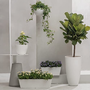 LA Jolie Muse 10 Inch Hanging Planters for Indoor and Outdoor