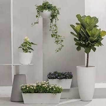 LA Jolie Muse 10 Inch Hanging Planters for Indoor and Outdoor