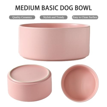 Welloyed 30Oz Ceramic Dog Bowl for Small Dogs