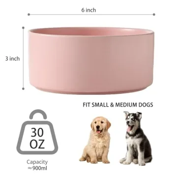 Welloyed 30Oz Ceramic Dog Bowl for Small Dogs