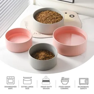 Welloyed 30Oz Ceramic Dog Bowl for Small Dogs