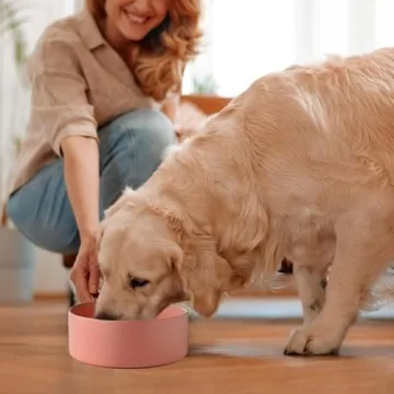 Welloyed 30Oz Ceramic Dog Bowl for Small Dogs