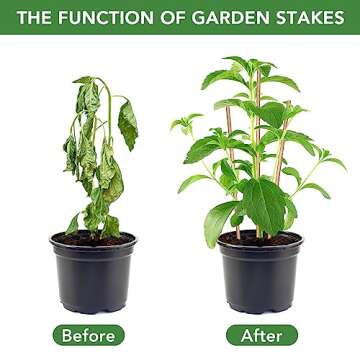 SWANGSA 40 Pack 4 Feet Bamboo Stakes for Plant, Bamboo Sticks Plant Support Garden Stakes Poles with 200pcs Twist Ties for Tomatoes, Beans, Flowers, Potted Plants, Indoor and Outdoor Climbing Plants