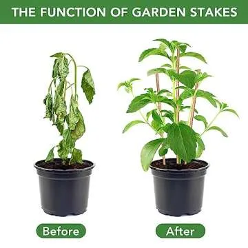 SWANGSA 40 Pack 4 Feet Bamboo Stakes for Plant, Bamboo Sticks Plant Support Garden Stakes Poles with 200pcs Twist Ties for Tomatoes, Beans, Flowers, Potted Plants, Indoor and Outdoor Climbing Plants