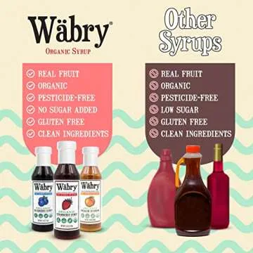 Wäbry Organic Strawberry Syrup No Added Sugar – 13.8oz (390g), Sweetened with Stevia & Erythritol, Natural Fruit Syrups for Drinks, Pancakes, Shaved Ice, Ice cream, Non-GMO, Dye-Free Snow Cone Syrup