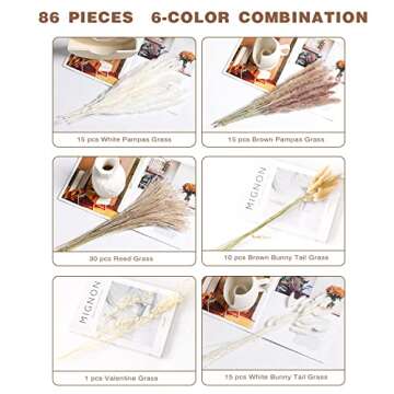 ANEUHS Natural Dried Pampas Grass Bouquet, Natural Home Decor, Phragmites Dried Flowers, Fluffy stem...