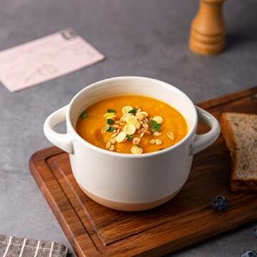 AmorArc 24 Ounces Soup Bowls with Large Handles and Lids, Stoneware Bowls Set of 4 for Soup, Cereal, Stew, Noodle, Colourful Ceramic Kitchen Bowls, Microwave&Dishwasher Safe, Multicolor