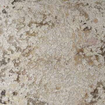 Deco 79 Ceramic Handmade Decorative Vase Antique Style Round Centerpiece Vase with Textured Distressing, Flower Vase for Home Decoration 12" x 12" x 12", Cream