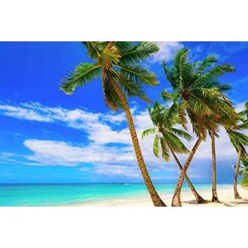 US Organic Fractionated Coconut MCT Oil (Liquid Coconut Oil), USDA Certified Organic, Non-GMO, Perfect for massage, carrier oil for DIY blends, Hair, Skin care. 100% Pure, Hexane-Free (8 oz)