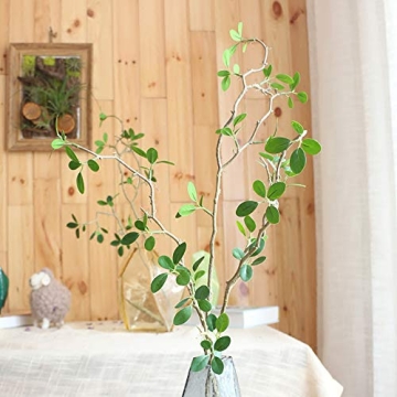 Ollain Realistic 43" Faux Eucalyptus Stems for Home Decor
