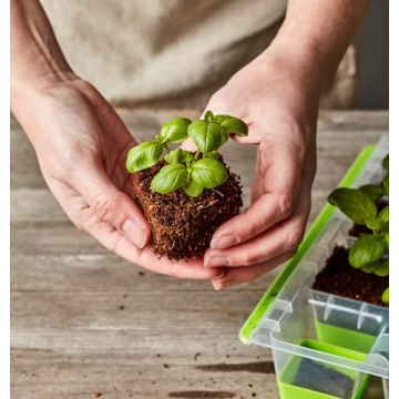 Burpee SuperSeed Seed Starting Tray - Reusable & Flexible