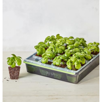 Burpee SuperSeed Seed Starting Tray - Reusable & Flexible