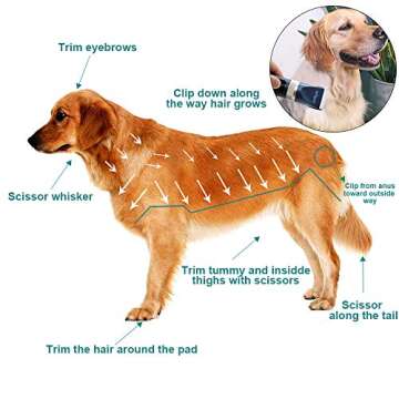 ANGFAN Dog Clippers for Grooming, 16pcs Dog Grooming Kit for Small & Large Dogs, Professional Cordless Dog Hair Clippers with Low Noise, Rechargeable Pet Grooming Tools for Cats & Dogs